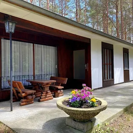 Σπίτι διακοπών Im Kiefernwald Direkt An Der Ostsee