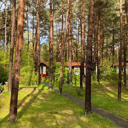 Σπίτι διακοπών Im Kiefernwald Direkt An Der Ostsee