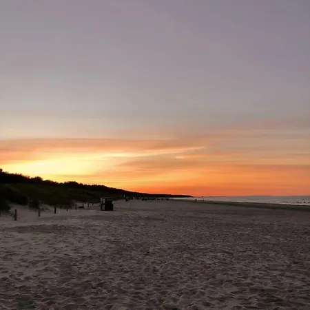 Im Kiefernwald Direkt An Der Ostsee *