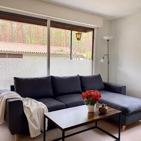 Im Kiefernwald Direkt An Der Ostsee Karlshagen