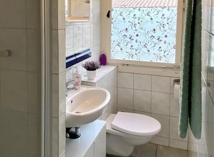 Im Kiefernwald Direkt An Der Ostsee Karlshagen