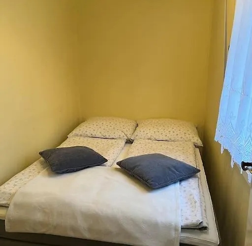 Im Kiefernwald Direkt An Der Ostsee