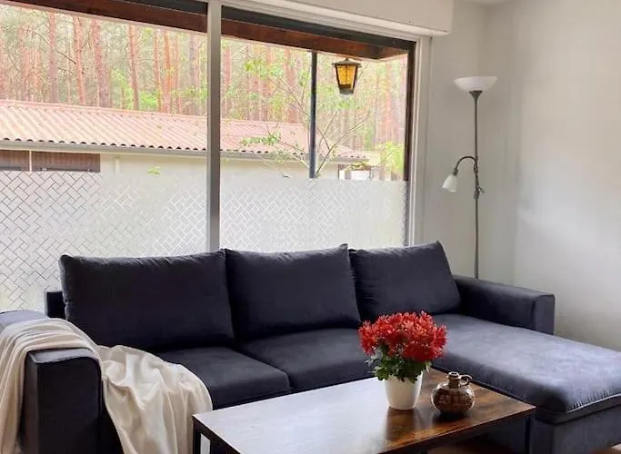 Im Kiefernwald Direkt An Der Ostsee Karlshagen